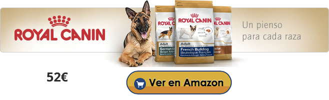 royal-canin-en-amazon