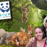 Cuánto Cuesta el Zoo de Madrid: Precios y Consejos para Planificar tu Visita